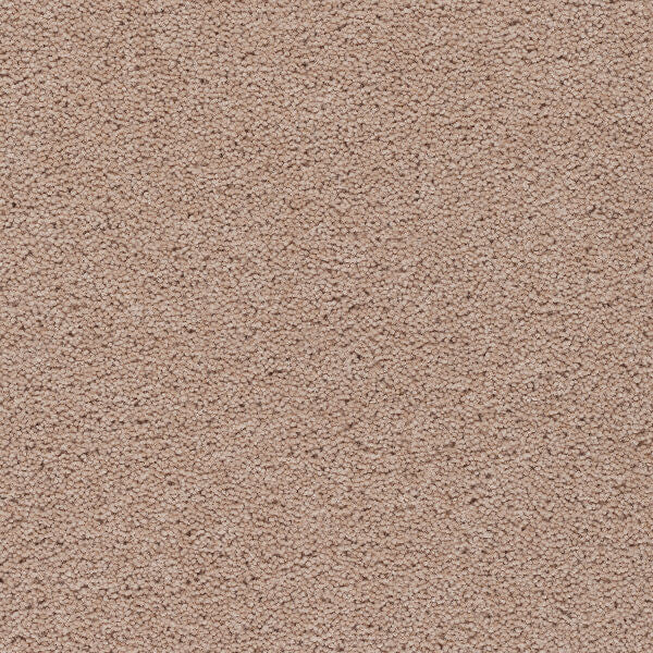 Axminster Devonia Plain - 008/76000 Flapjack