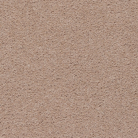 Axminster Devonia Plain - 008/76000 Flapjack