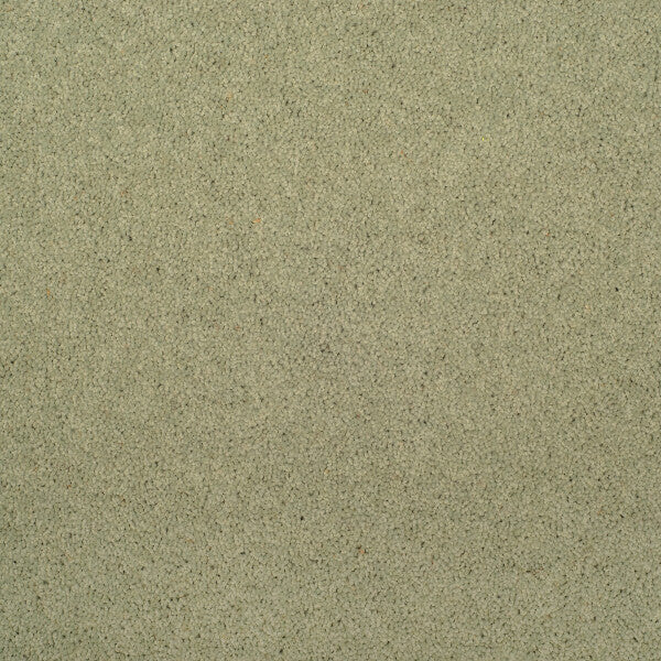 Axminster Devonia Plain - 1307/76000 Water Reed