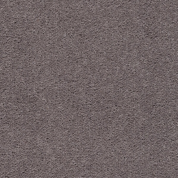 Axminster Devonia Plain - 150/76000 Silverdale
