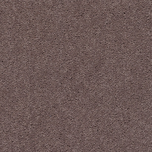 Axminster Devonia Plain - 171/76000 Lazy Days