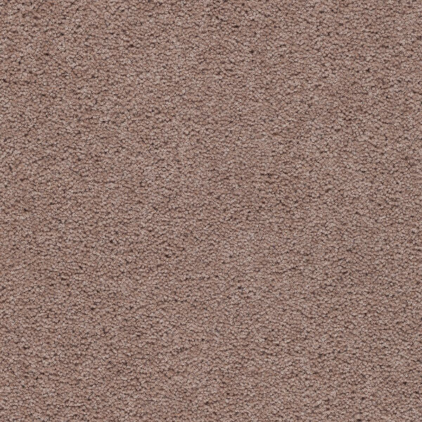 Axminster Devonia Plain - 291/76000 Beechcomber