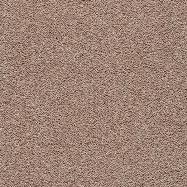 Axminster Devonia Plain - 300/76000 Sandy Bay