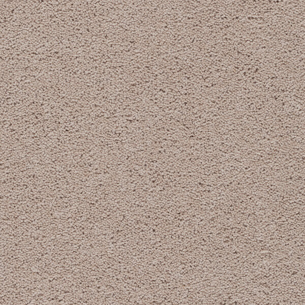Axminster Devonia Plain - 301/76000 Bobtail