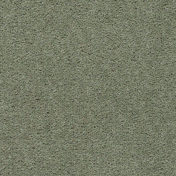 Axminster Devonia Plain - 304/76000 Village Green