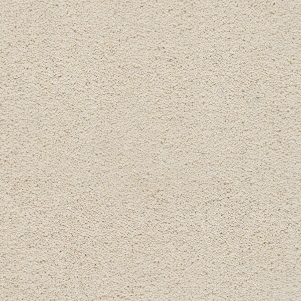Axminster Devonia Plain - 375/76000 Cream Tea
