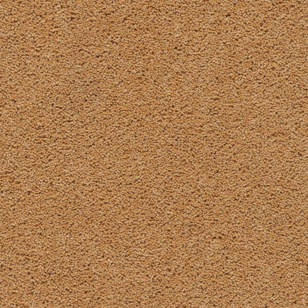Axminster Devonia Plain - 396/76000 Sunkissed