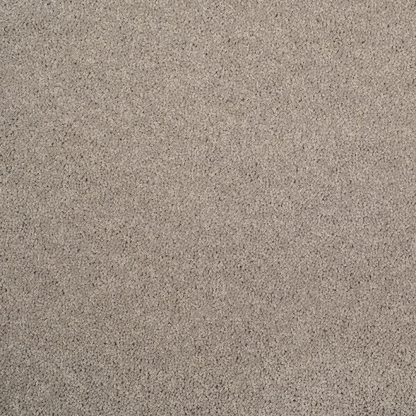 Axminster Devonia Plain - 1305/76000 French Grey