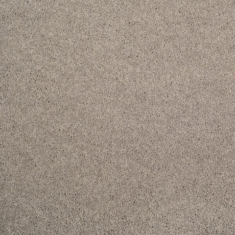 Axminster Devonia Plain - 1305/76000 French Grey