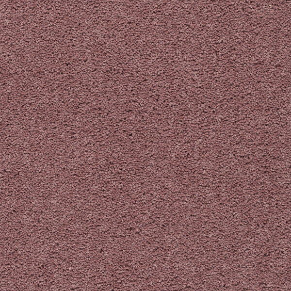 Axminster Devonia Plain - 470/76000 Bliss