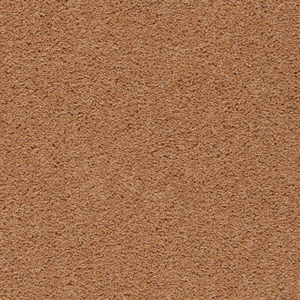 Axminster Devonia Plain - 473/76000 Summer Spice