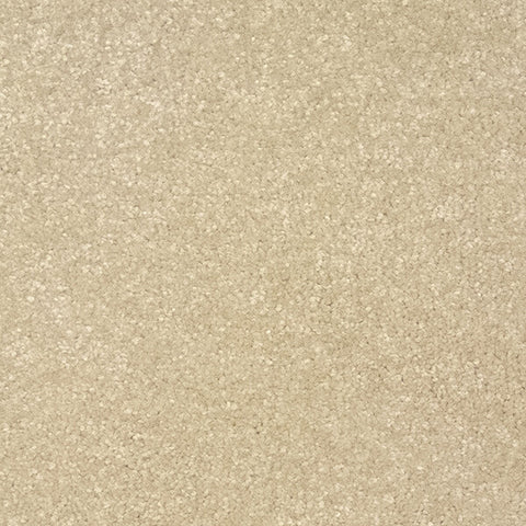 Regency Carefree Dolce Moda - Cicogna 384