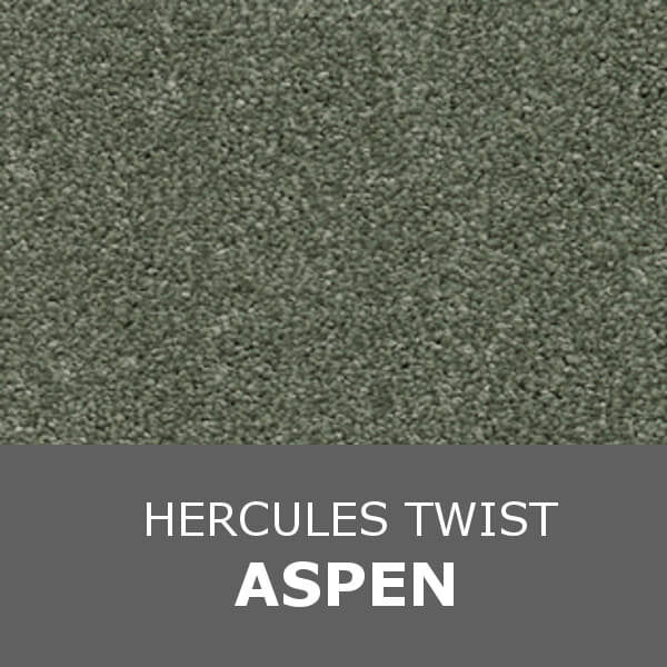 Associated Weavers Invictus - Hercules Twist - Aspen 24